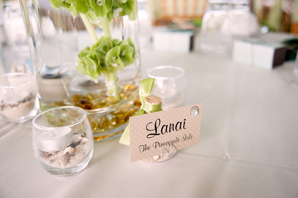 Lanai Wedding Details