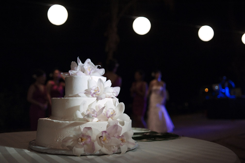 Wedding Cake at Olowalu