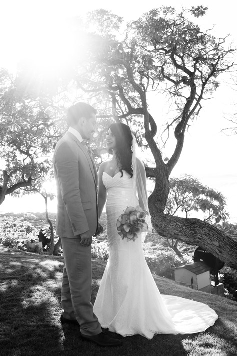 Turtle Bay Wedding Photography