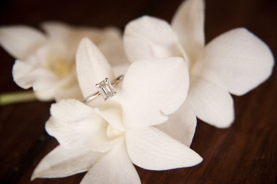 Wedding Rings Orchid