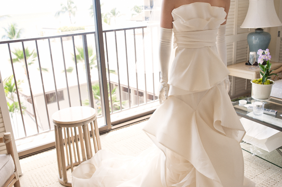 Vera Wang Luxe Wedding Gown