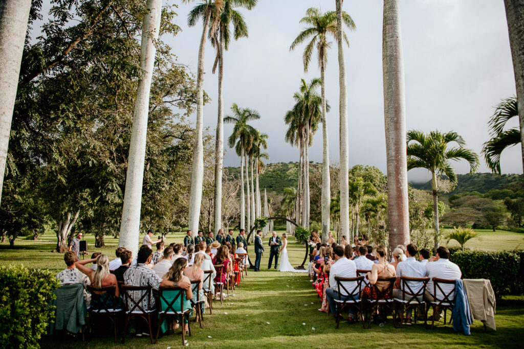 Wedding Ceremony location at Dillingham Ranch with rows of palm trees.
