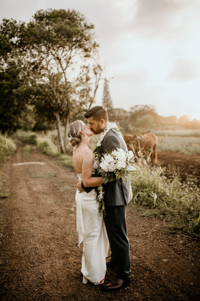 Bride & Groom kissing at Dillingham Ranch with horses in background.