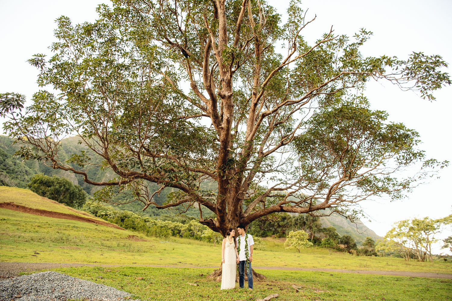 Bride and Groom in front of tree